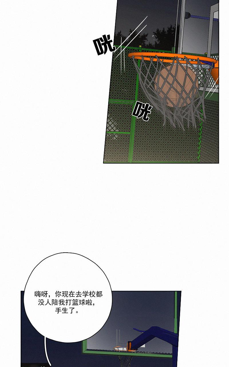 女装正太漫画韩漫全集-第52话无删减无遮挡章节图片 