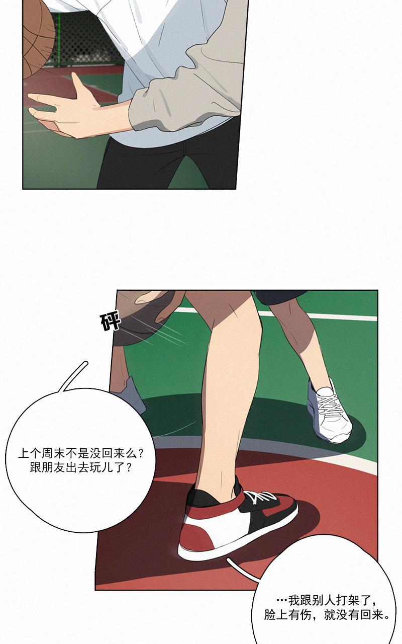 女装正太漫画韩漫全集-第52话无删减无遮挡章节图片 