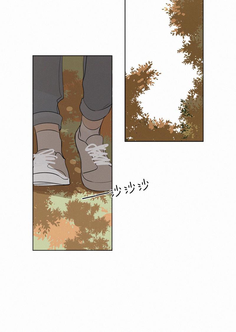女装正太漫画韩漫全集-第75话无删减无遮挡章节图片 