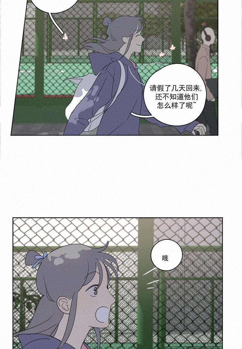 女装正太漫画韩漫全集-第83话无删减无遮挡章节图片 