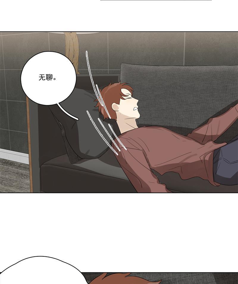 女装正太漫画韩漫全集-第88话无删减无遮挡章节图片 