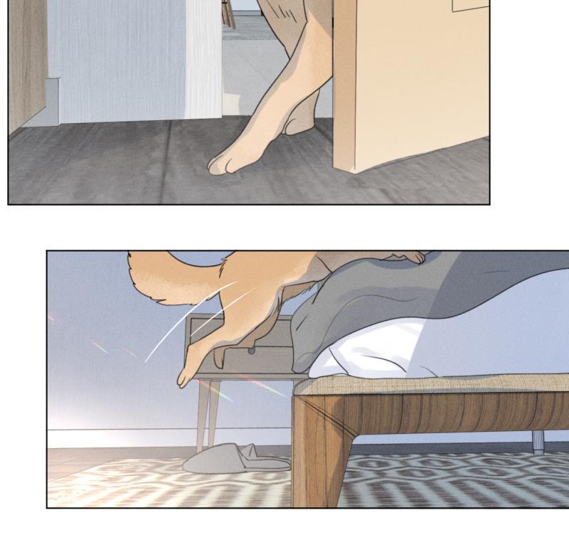 女装正太漫画韩漫全集-新年番外篇（上）无删减无遮挡章节图片 