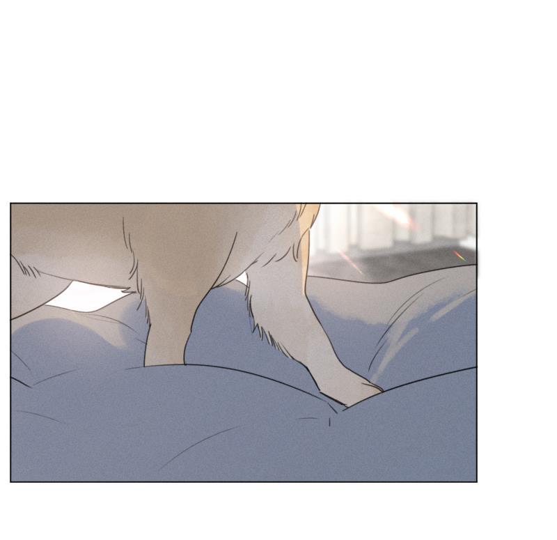 女装正太漫画韩漫全集-新年番外篇（上）无删减无遮挡章节图片 