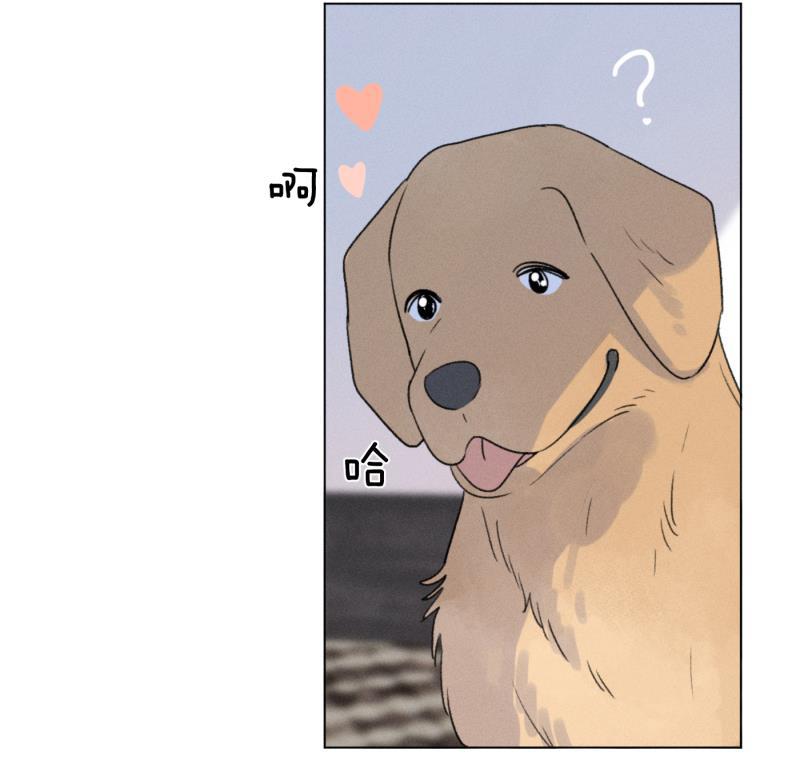 女装正太漫画韩漫全集-新年番外篇（上）无删减无遮挡章节图片 