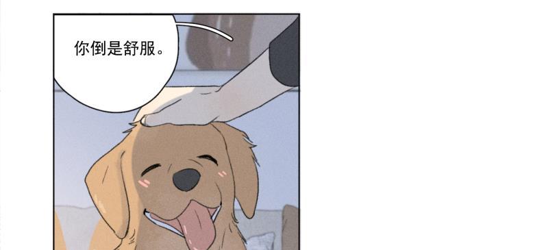 女装正太漫画韩漫全集-新年番外篇（上）无删减无遮挡章节图片 