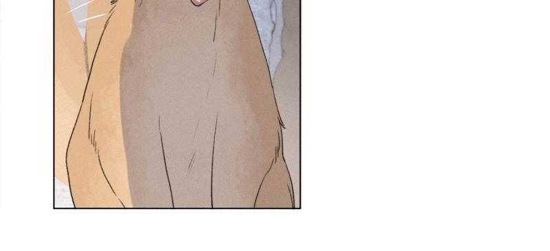 女装正太漫画韩漫全集-新年番外篇（上）无删减无遮挡章节图片 