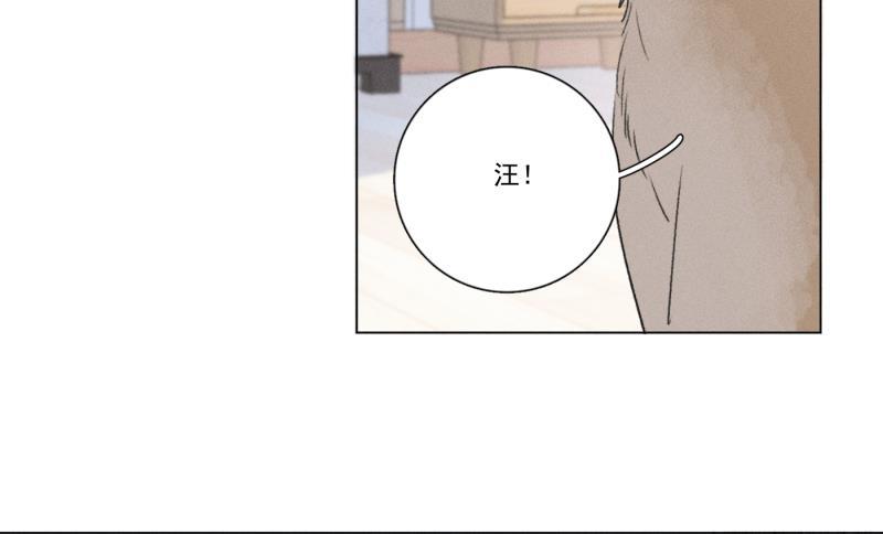 女装正太漫画韩漫全集-新年番外篇（上）无删减无遮挡章节图片 