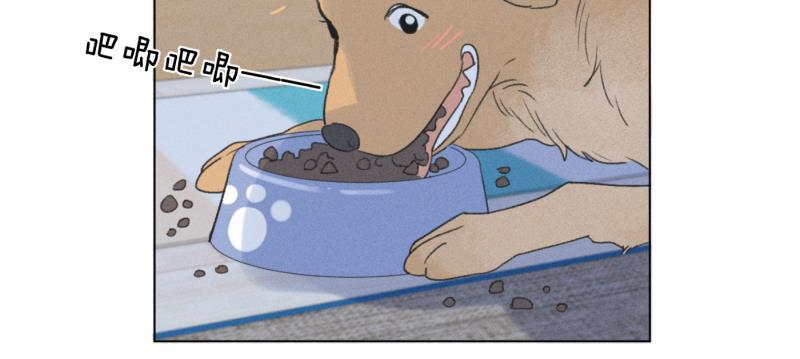 女装正太漫画韩漫全集-新年番外篇（上）无删减无遮挡章节图片 