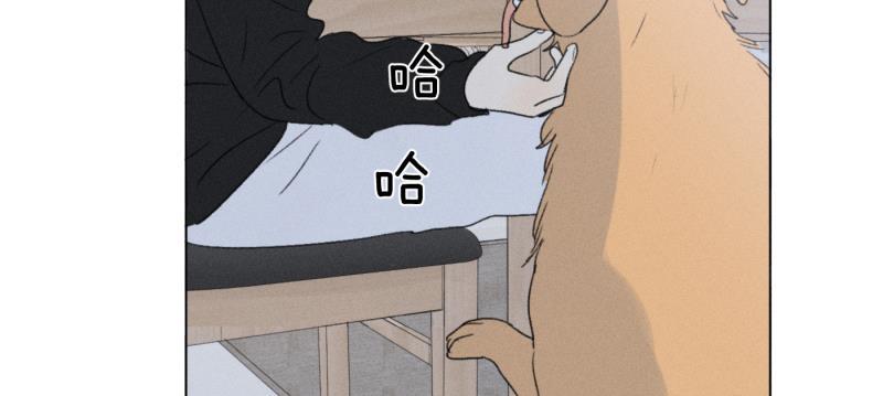 女装正太漫画韩漫全集-新年番外篇（上）无删减无遮挡章节图片 