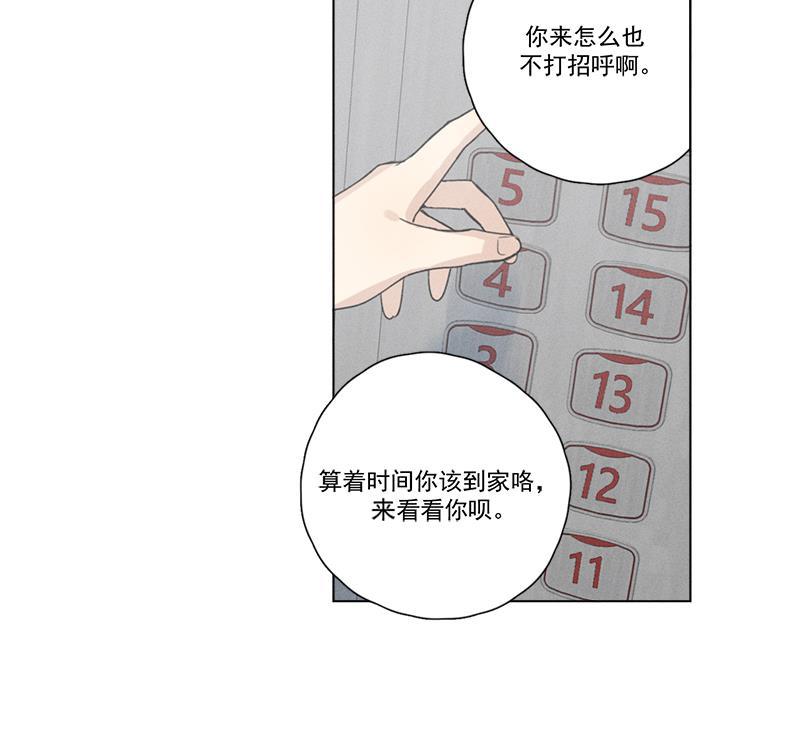 女装正太漫画韩漫全集-第136话无删减无遮挡章节图片 