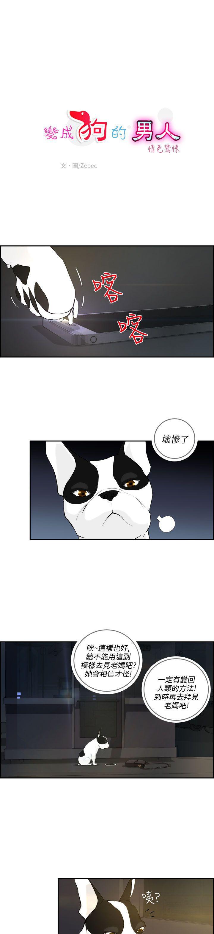 斗罗大陆漫画在线看韩漫全集-第3话无删减无遮挡章节图片 