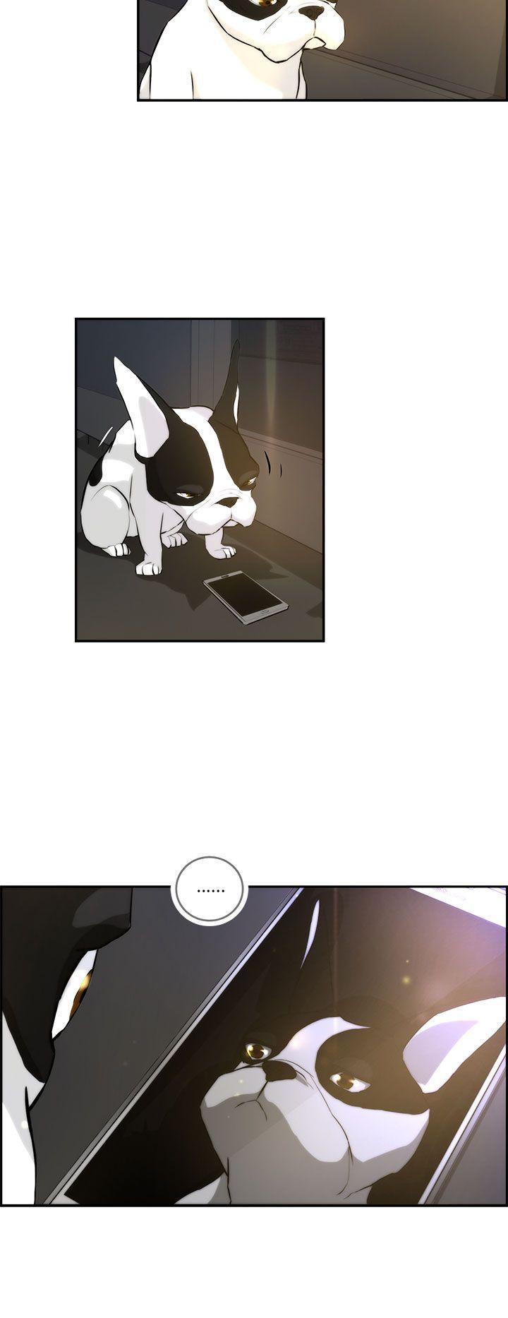 斗罗大陆漫画在线看韩漫全集-第3话无删减无遮挡章节图片 