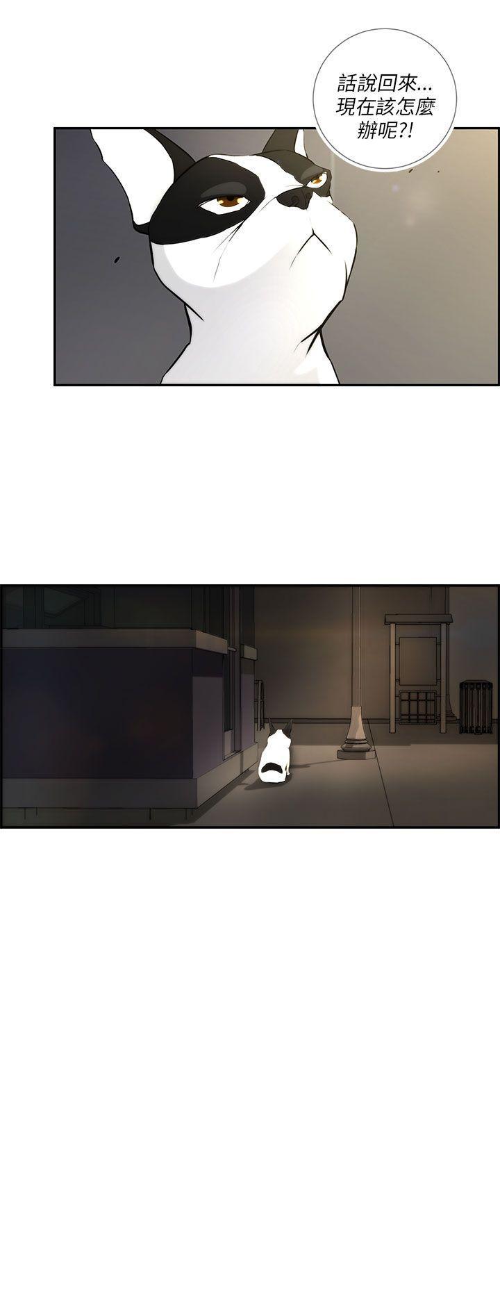 斗罗大陆漫画在线看韩漫全集-第3话无删减无遮挡章节图片 
