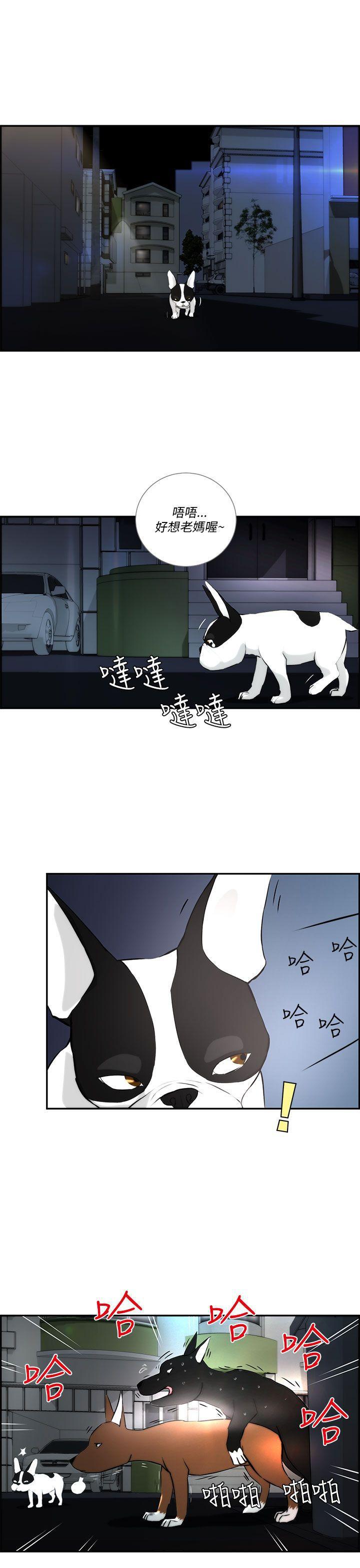 斗罗大陆漫画在线看韩漫全集-第3话无删减无遮挡章节图片 