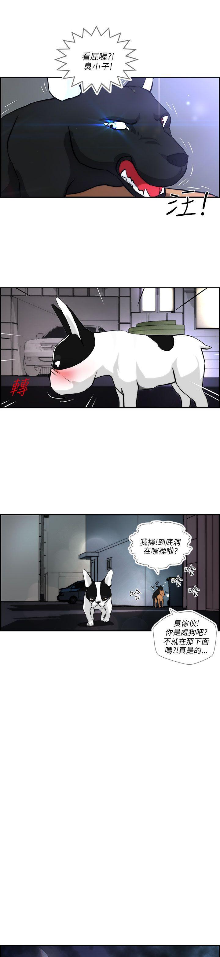 斗罗大陆漫画在线看韩漫全集-第3话无删减无遮挡章节图片 