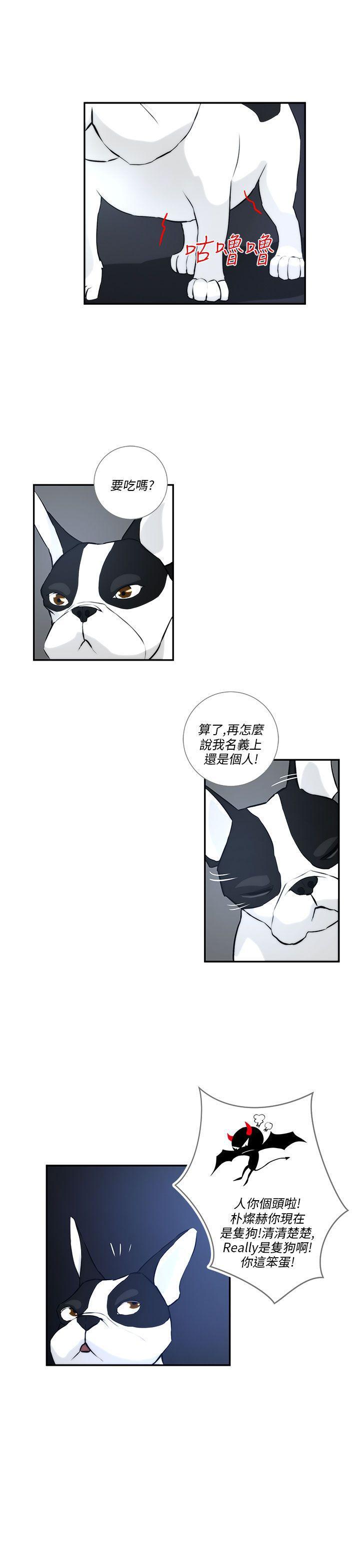 斗罗大陆漫画在线看韩漫全集-第3话无删减无遮挡章节图片 