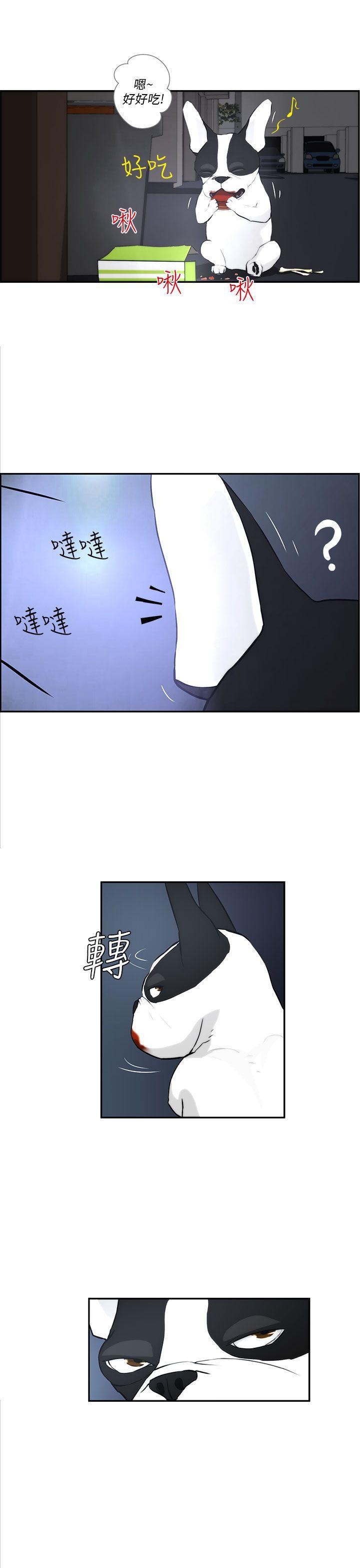 斗罗大陆漫画在线看韩漫全集-第3话无删减无遮挡章节图片 
