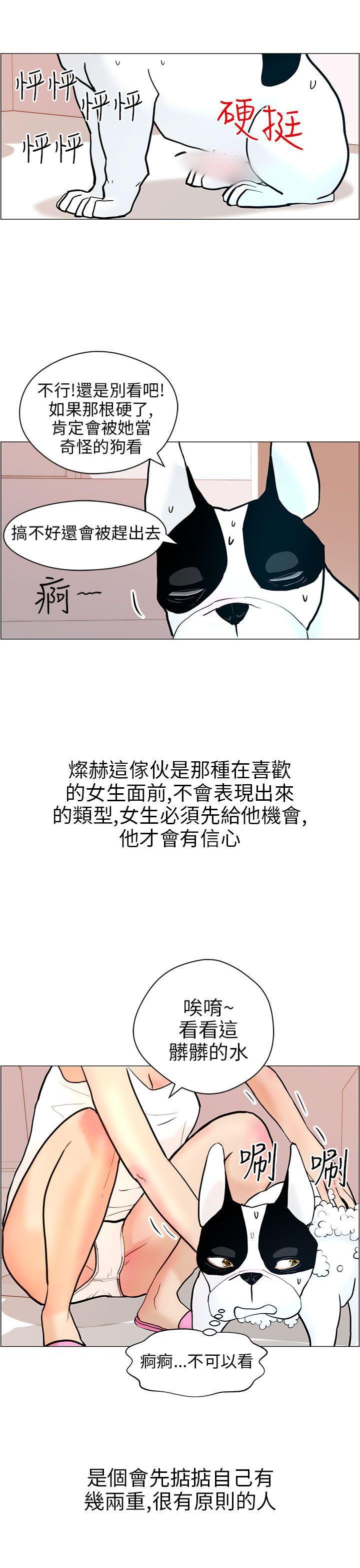 斗罗大陆漫画在线看韩漫全集-第9话无删减无遮挡章节图片 