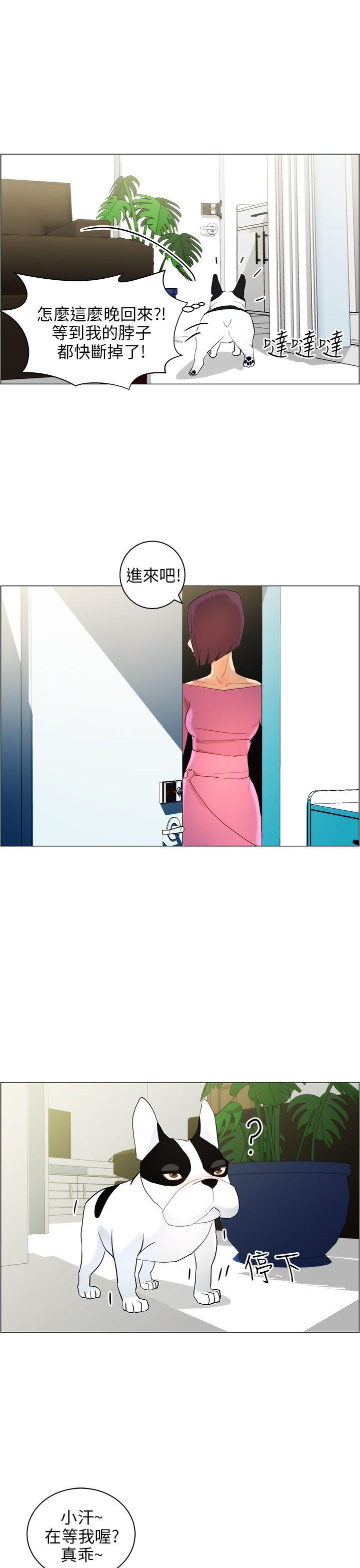 斗罗大陆漫画在线看韩漫全集-第10话无删减无遮挡章节图片 