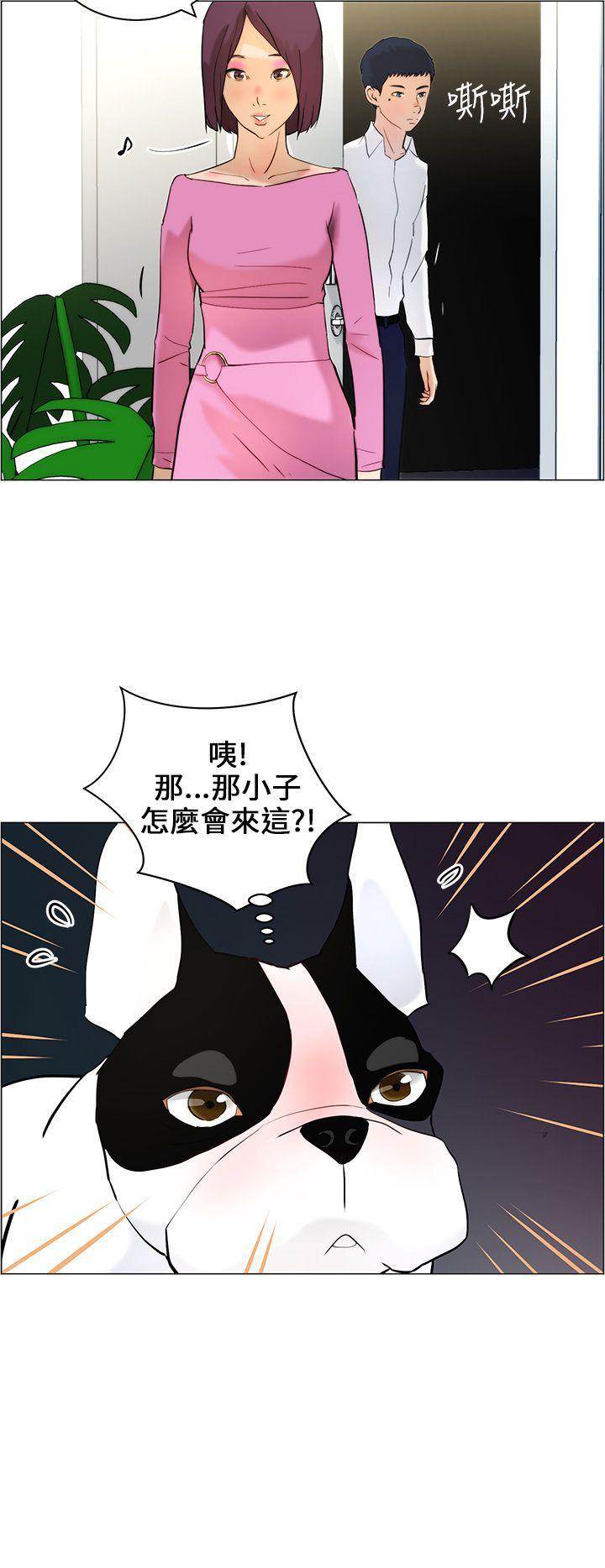 斗罗大陆漫画在线看韩漫全集-第10话无删减无遮挡章节图片 