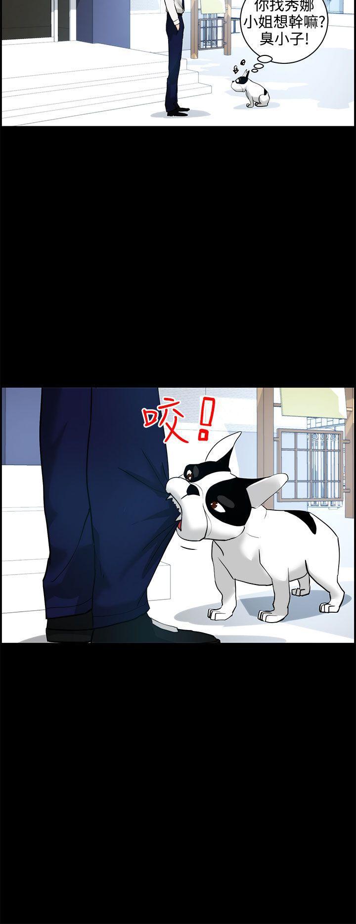 斗罗大陆漫画在线看韩漫全集-第11话无删减无遮挡章节图片 