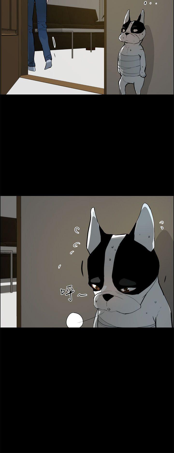 斗罗大陆漫画在线看韩漫全集-第19话无删减无遮挡章节图片 