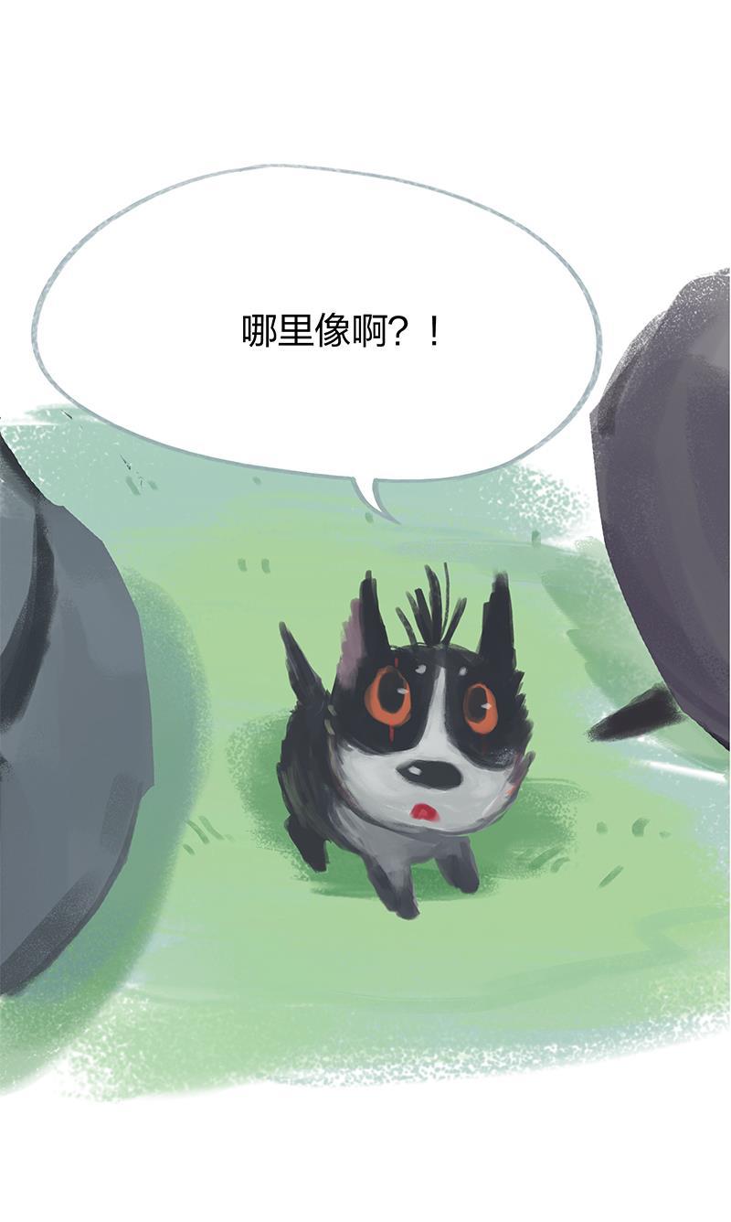 is漫画韩漫全集-第17话无删减无遮挡章节图片 