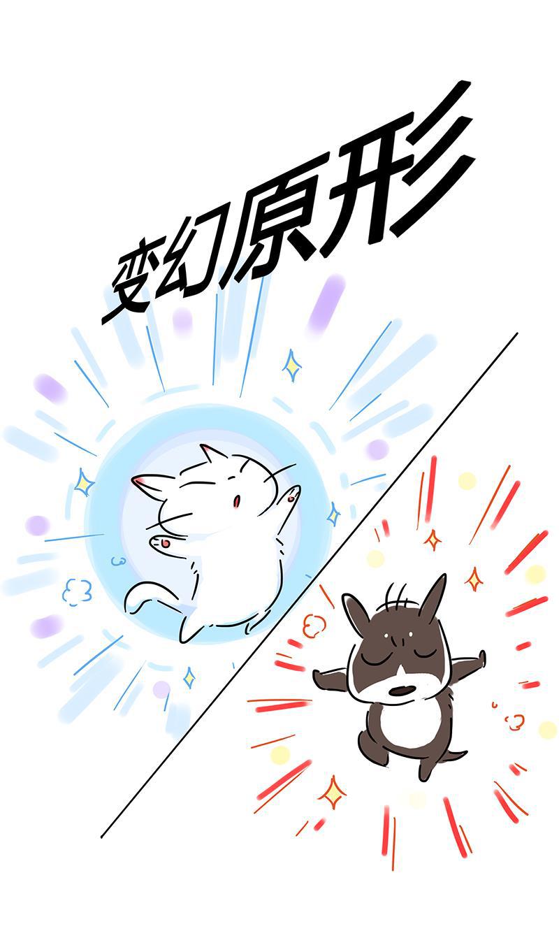 is漫画韩漫全集-番外无删减无遮挡章节图片 