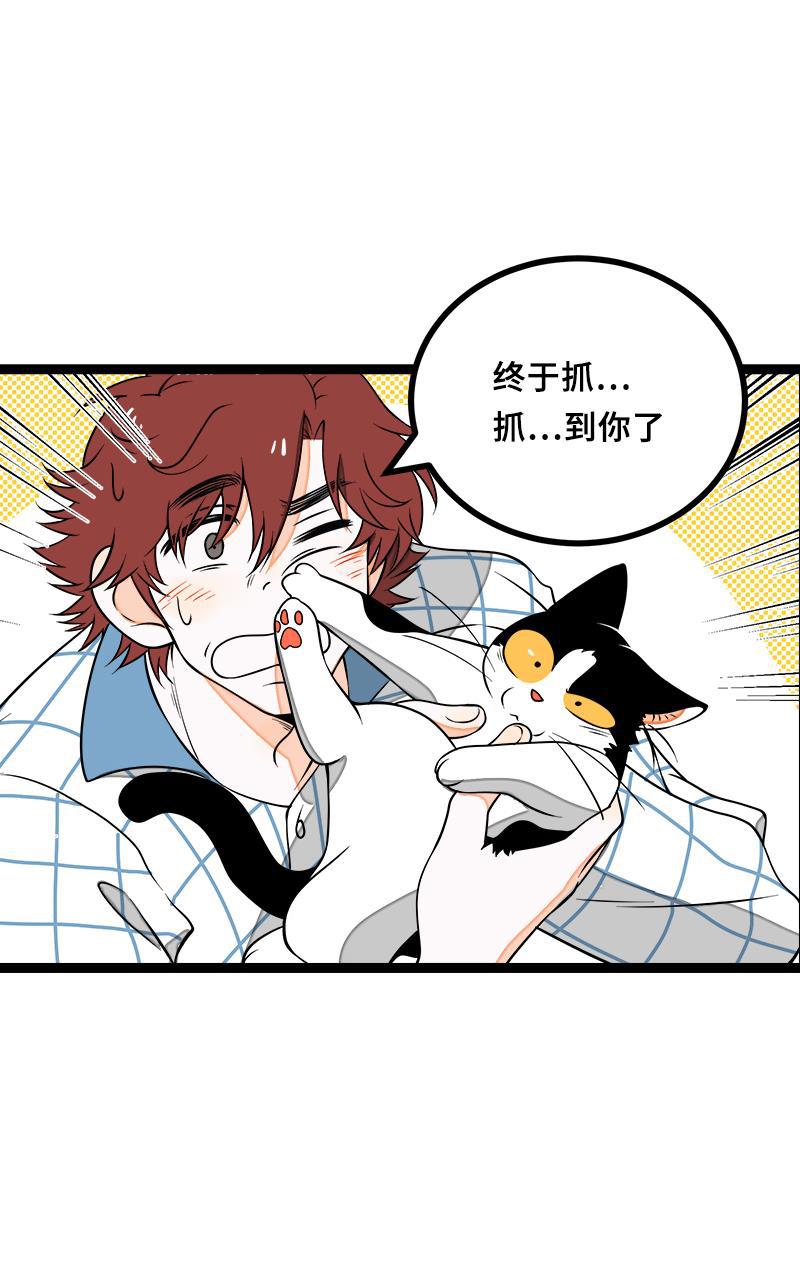 极黑的布伦希尔特漫画韩漫全集-第44话 感情白痴无删减无遮挡章节图片 