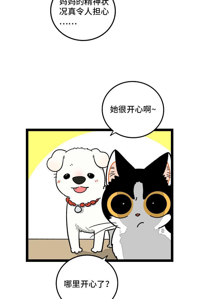 极黑的布伦希尔特漫画韩漫全集-第73话 家的感觉无删减无遮挡章节图片 