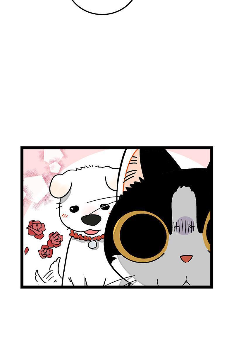 极黑的布伦希尔特漫画韩漫全集-第73话 家的感觉无删减无遮挡章节图片 