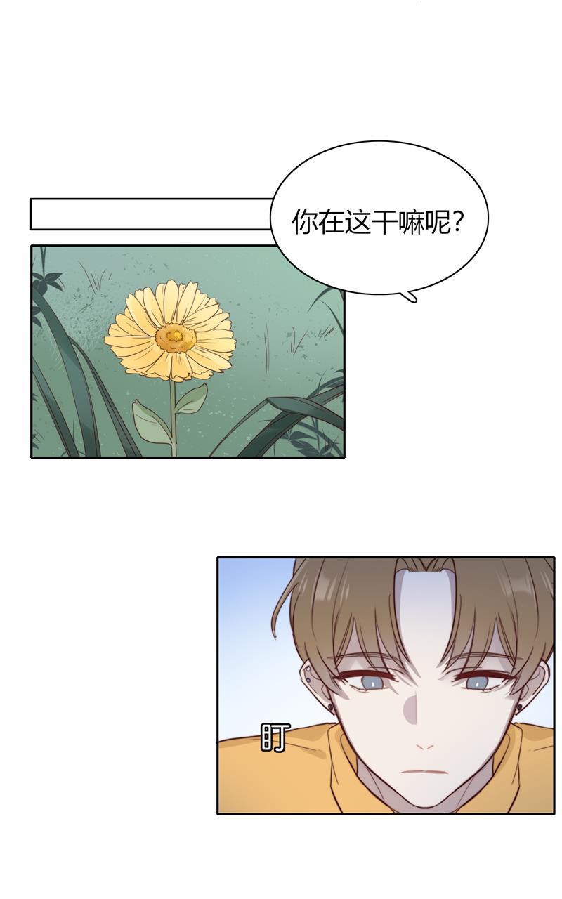 傲世九重天漫画韩漫全集-第62话无删减无遮挡章节图片 