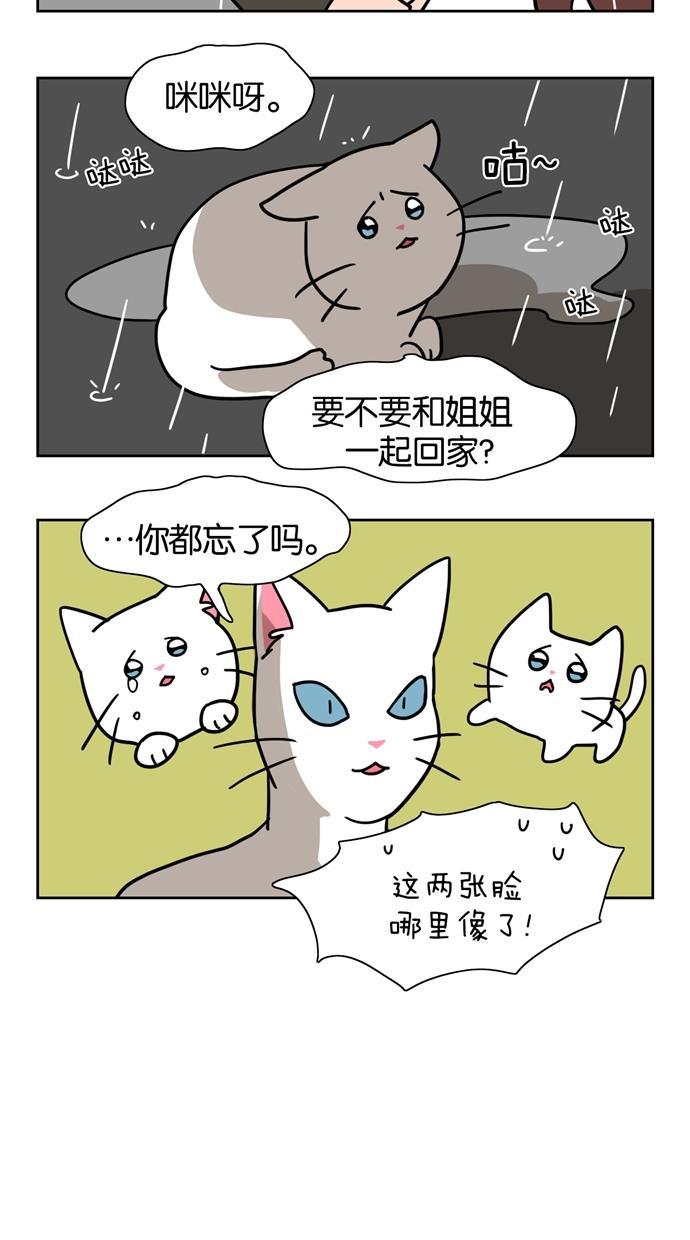 浪客行漫画韩漫全集-第1话无删减无遮挡章节图片 