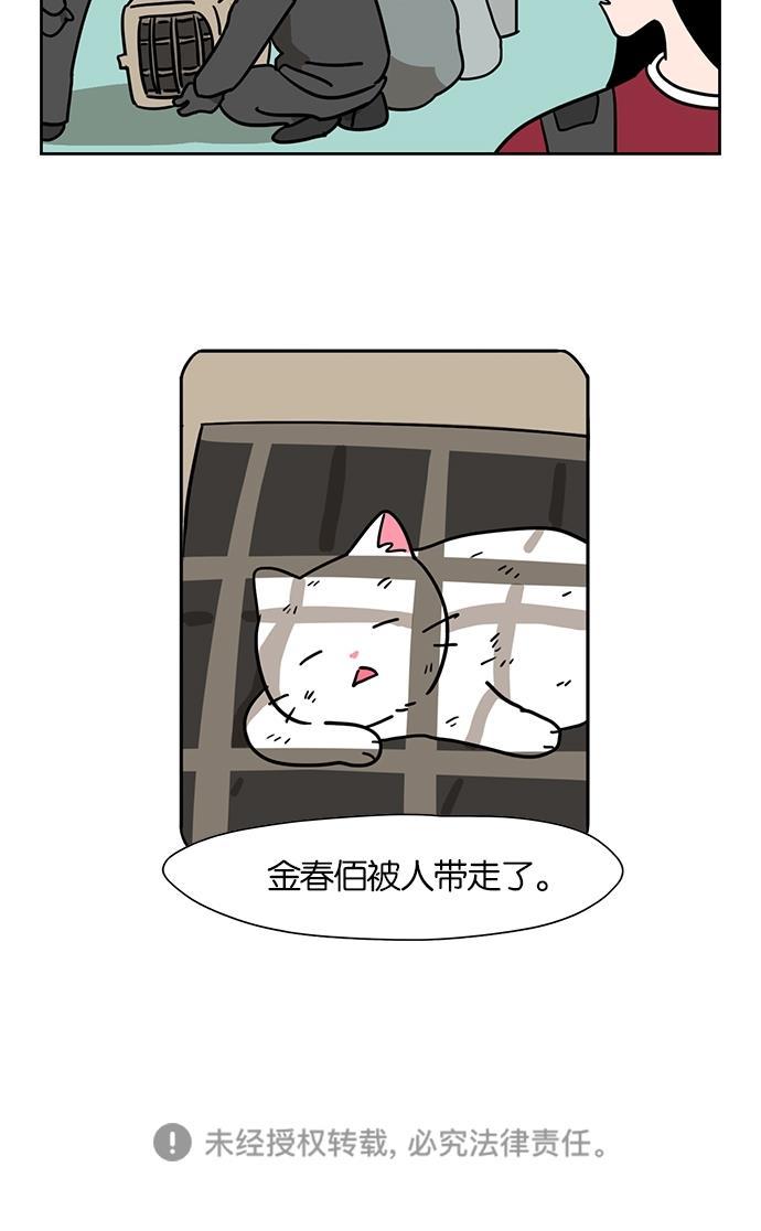 浪客行漫画韩漫全集-第49话无删减无遮挡章节图片 