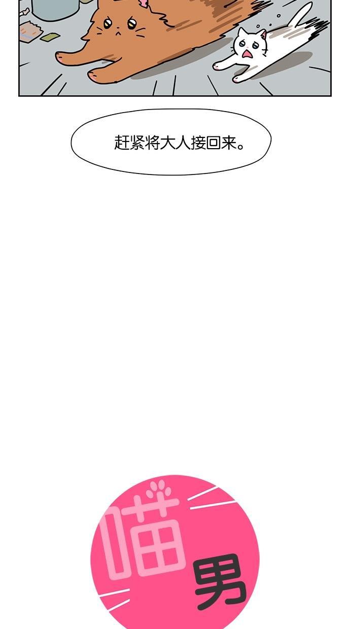 浪客行漫画韩漫全集-第54话无删减无遮挡章节图片 