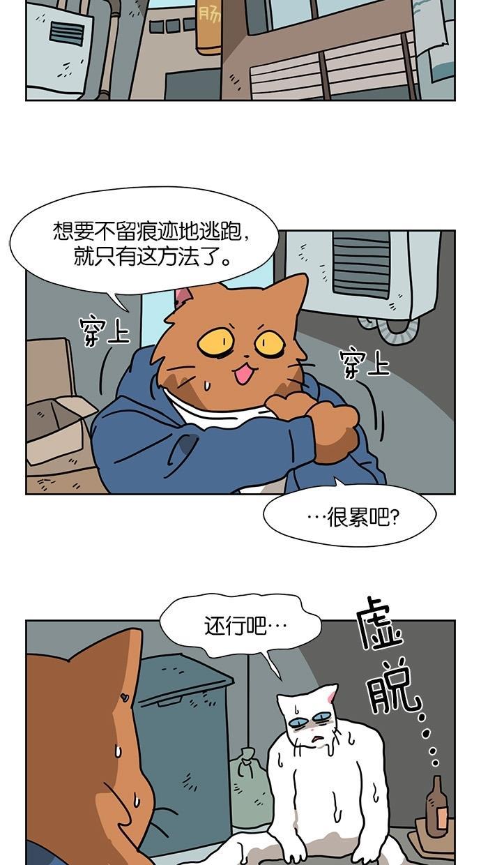 浪客行漫画韩漫全集-第54话无删减无遮挡章节图片 