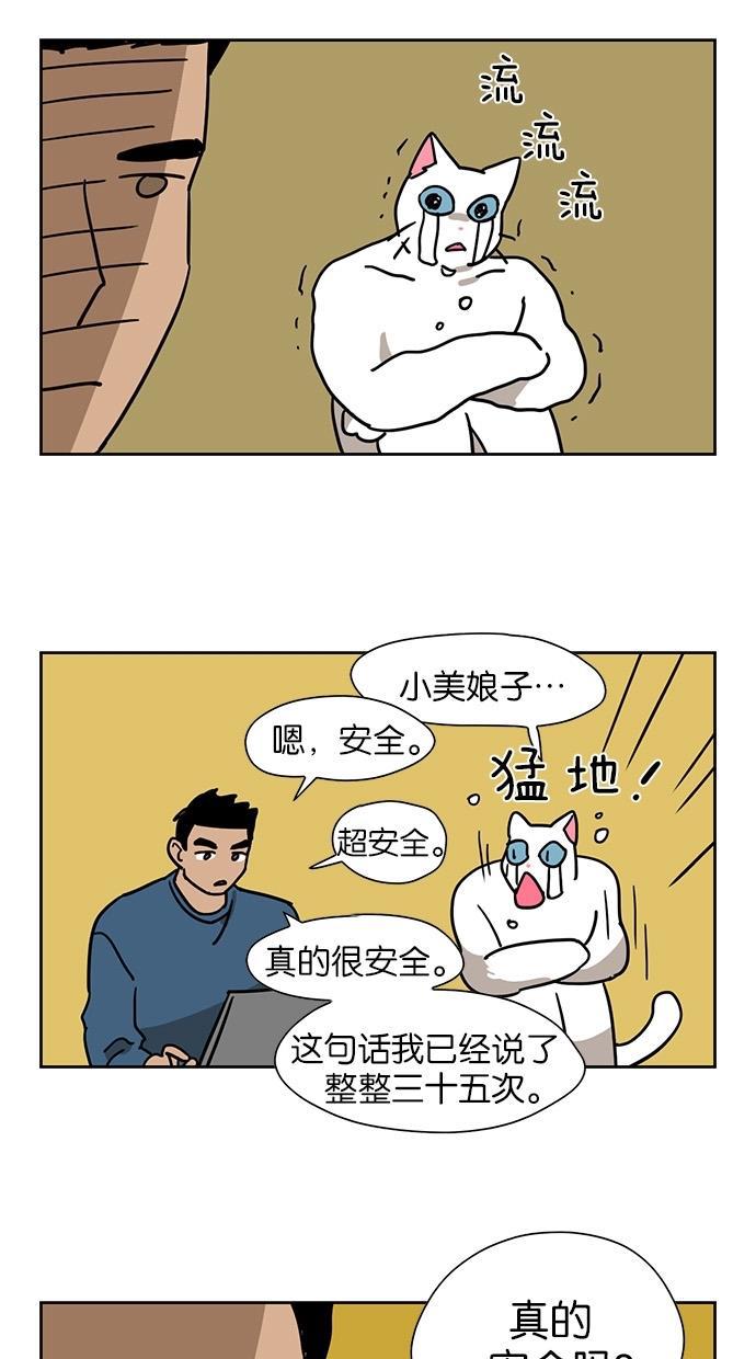 浪客行漫画韩漫全集-第56话无删减无遮挡章节图片 