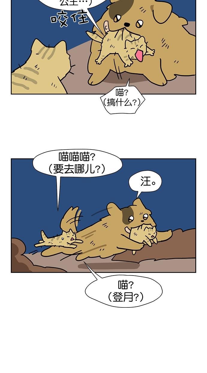 浪客行漫画韩漫全集-第64话无删减无遮挡章节图片 