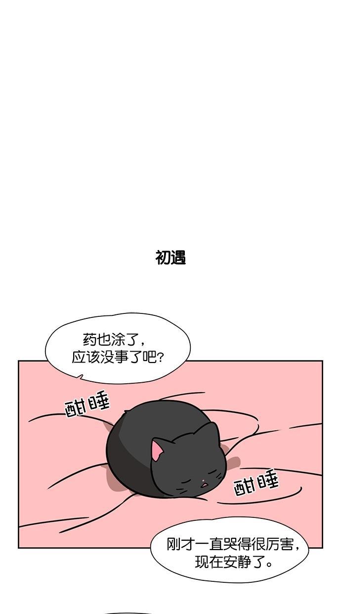 浪客行漫画韩漫全集-第80话无删减无遮挡章节图片 