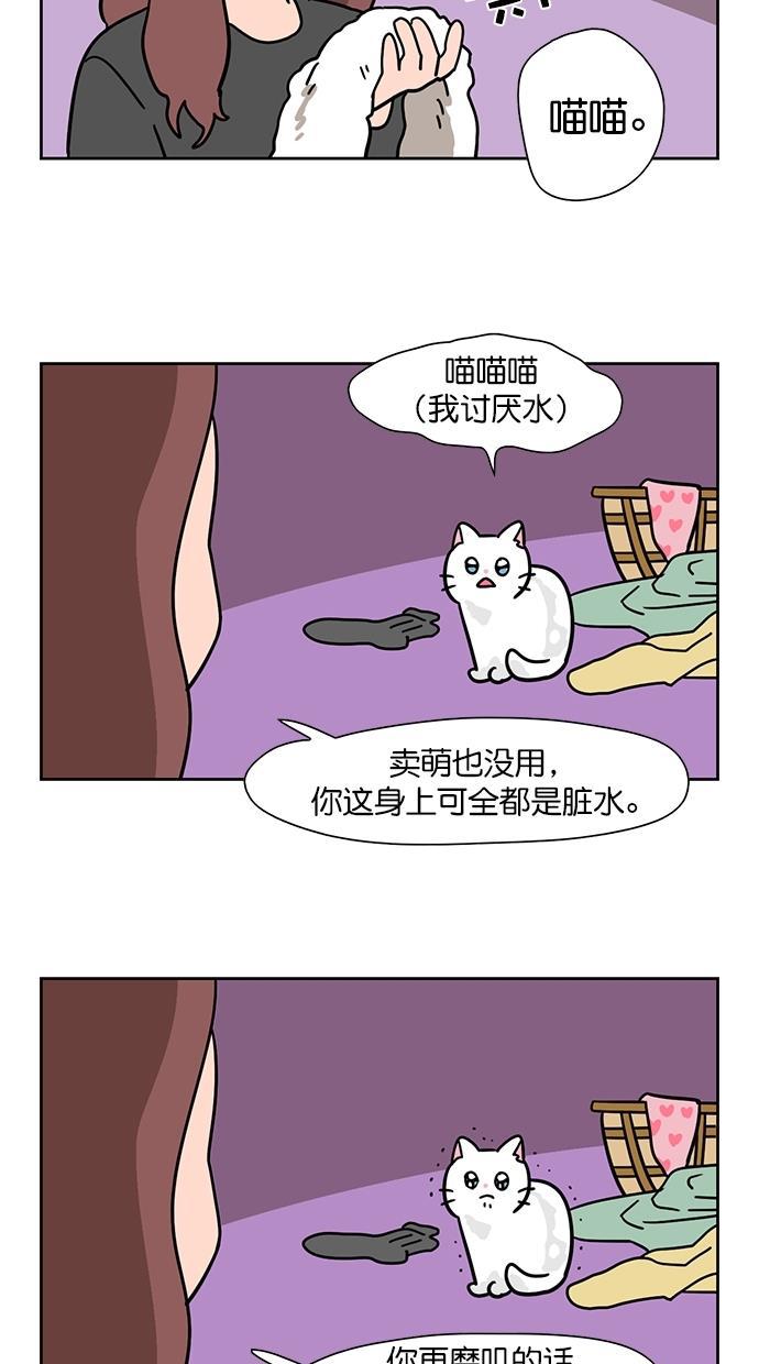 浪客行漫画韩漫全集-第94话无删减无遮挡章节图片 