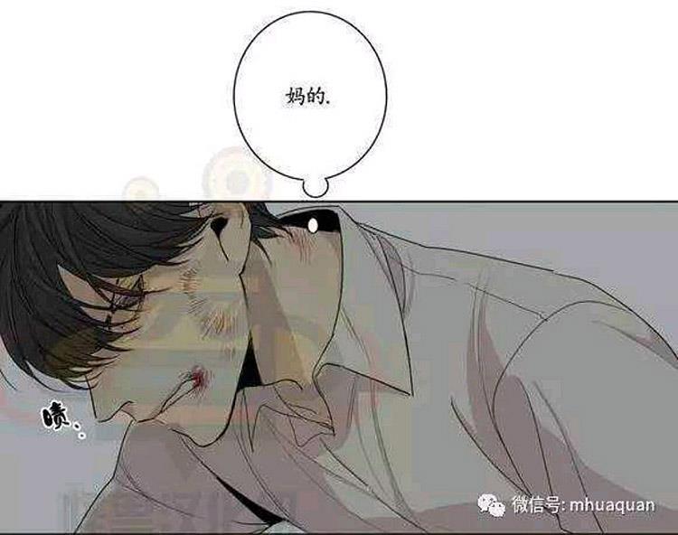 星海镖师漫画韩漫全集-第17话无删减无遮挡章节图片 