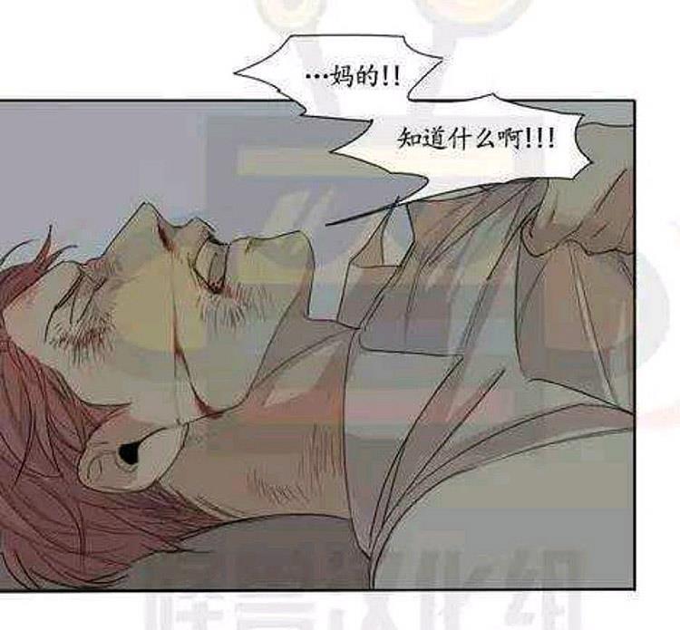 星海镖师漫画韩漫全集-第17话无删减无遮挡章节图片 
