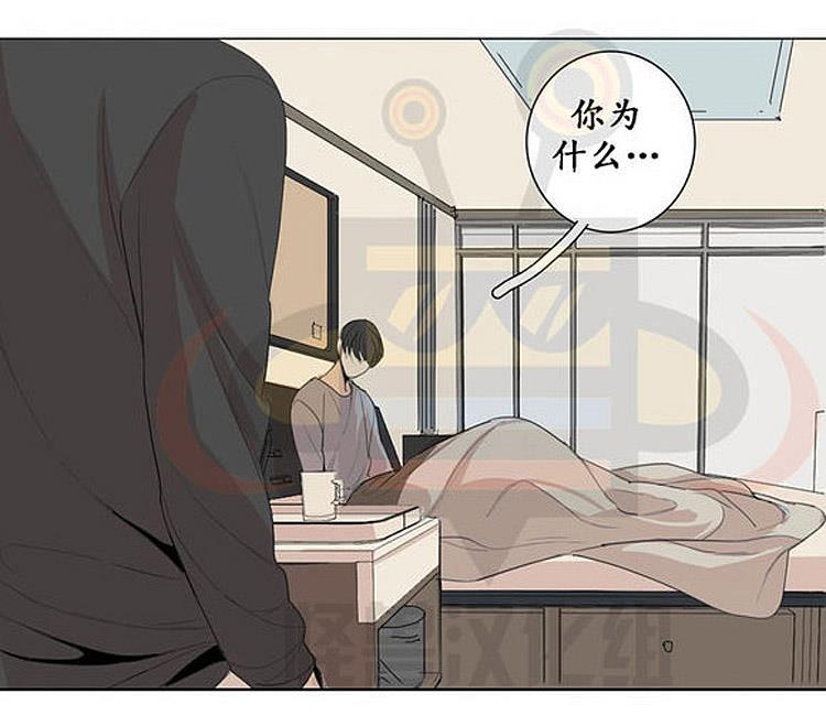 星海镖师漫画韩漫全集-第19话无删减无遮挡章节图片 