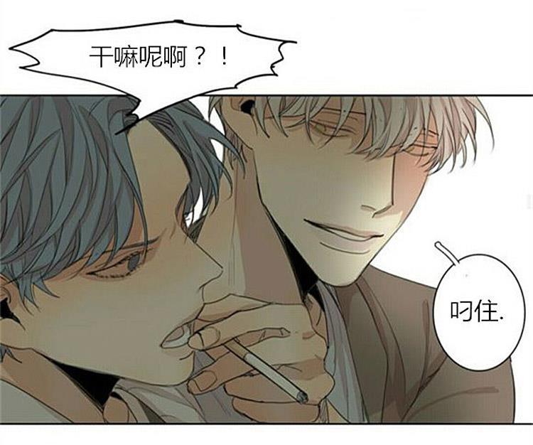 星海镖师漫画韩漫全集-第35话无删减无遮挡章节图片 