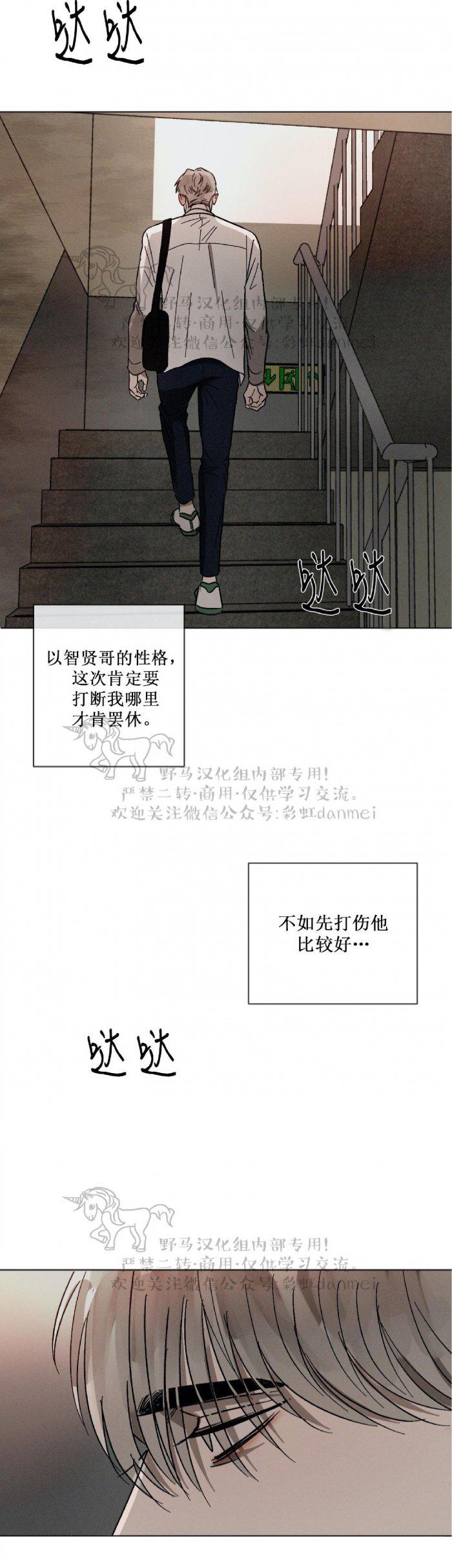 光之子漫画韩漫全集-第36话无删减无遮挡章节图片 