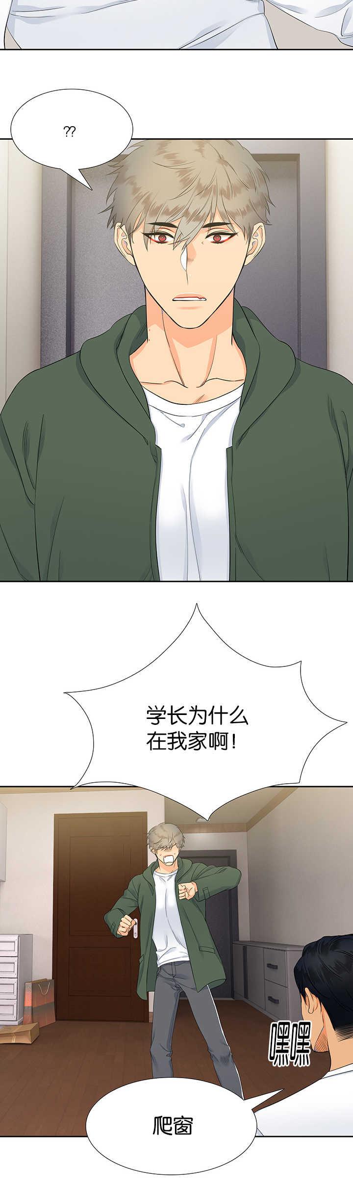 全职法师漫画免费阅读韩漫全集-第14话无删减无遮挡章节图片 