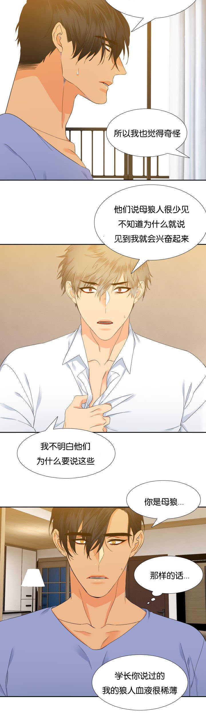 全职法师漫画免费阅读韩漫全集-第24话无删减无遮挡章节图片 