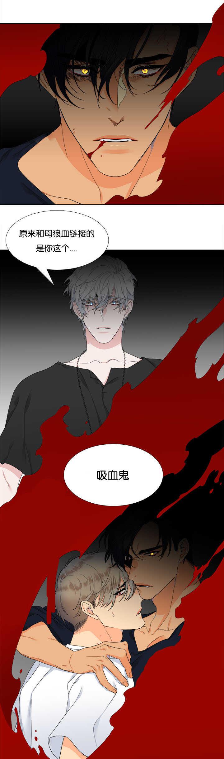 全职法师漫画免费阅读韩漫全集-第30话无删减无遮挡章节图片 