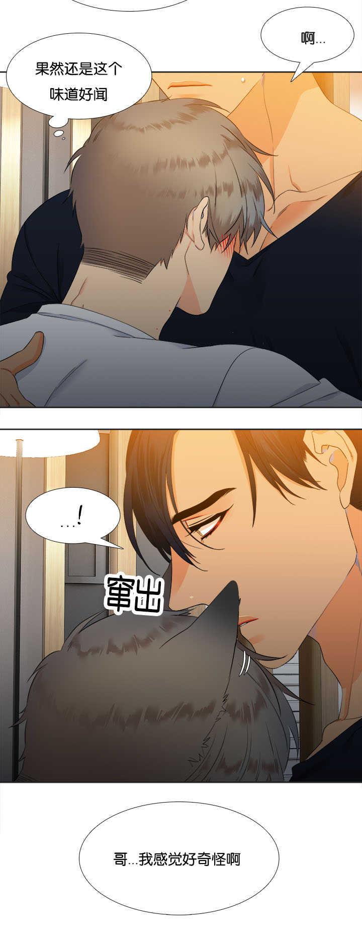 全职法师漫画免费阅读韩漫全集-第31话无删减无遮挡章节图片 