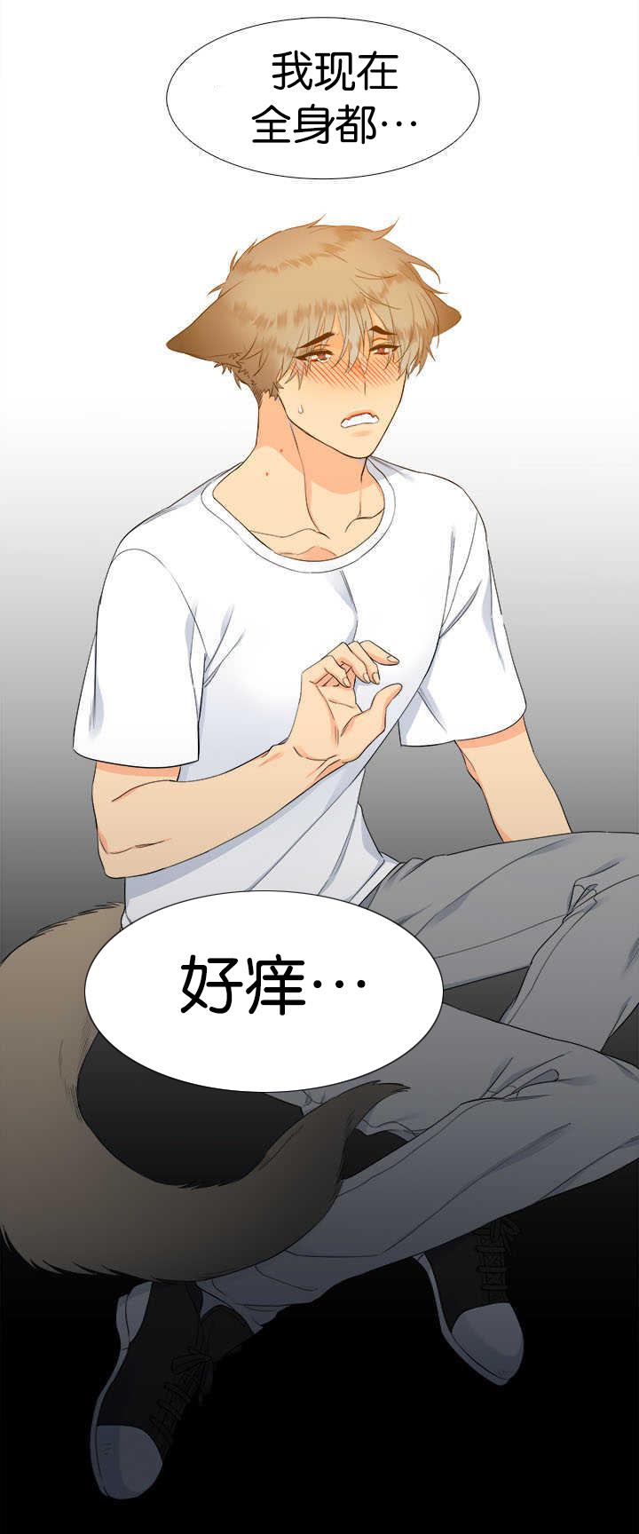 全职法师漫画免费阅读韩漫全集-第31话无删减无遮挡章节图片 